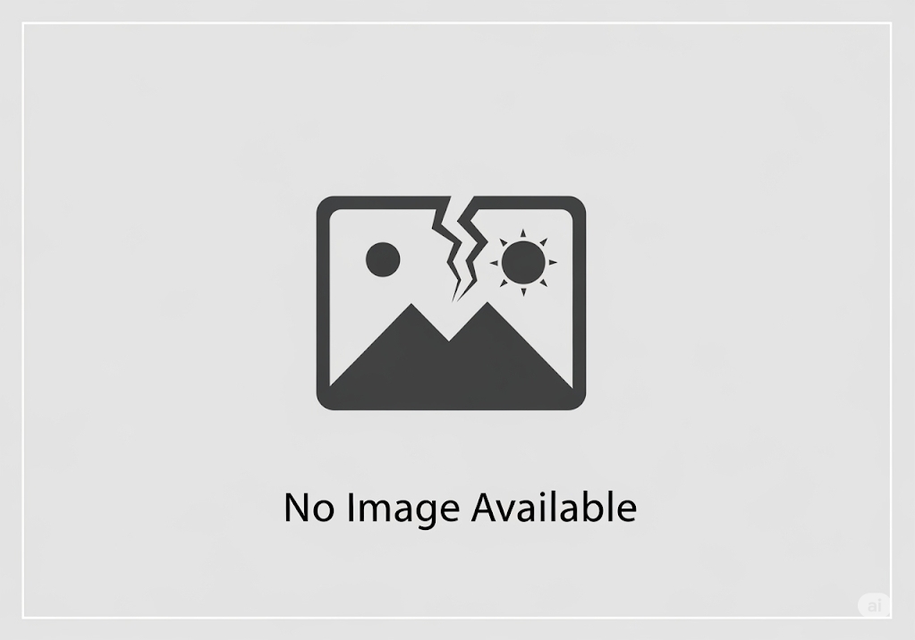 Secrets of Jeonbuk Field Soils: Diverse Physicochemical Properties Shaped by Topography